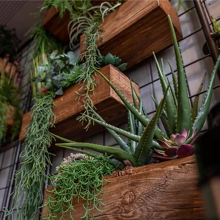 Me And Ulm, By Hyatt Hotel 4*